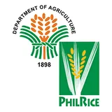 Philippine Rice Research Institute seal